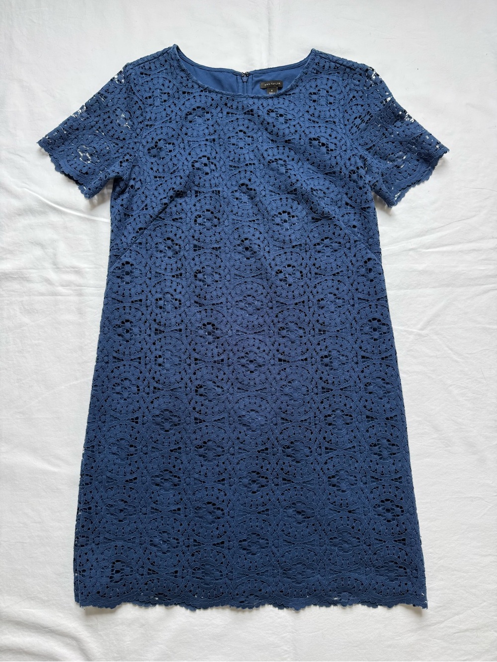 Ann Taylor Blue Lace Shift Dress Size 8 Short Sleeve Floral Crochet - Picture 2 of 7